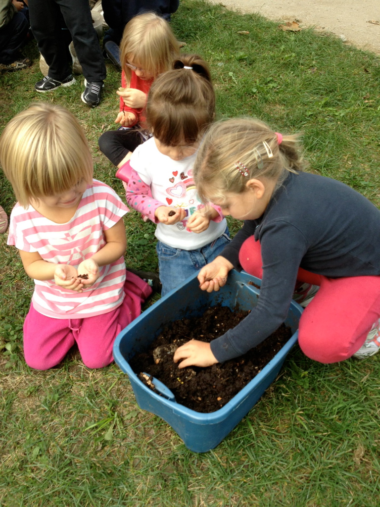 Gardening With Kids: From Seed to Table