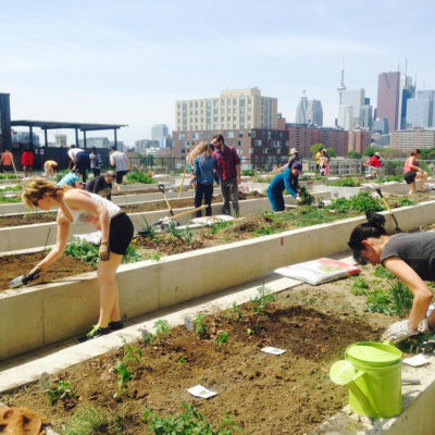 Curious About Urban Agriculture? Check out Urban Ag Week Sept 14-22!