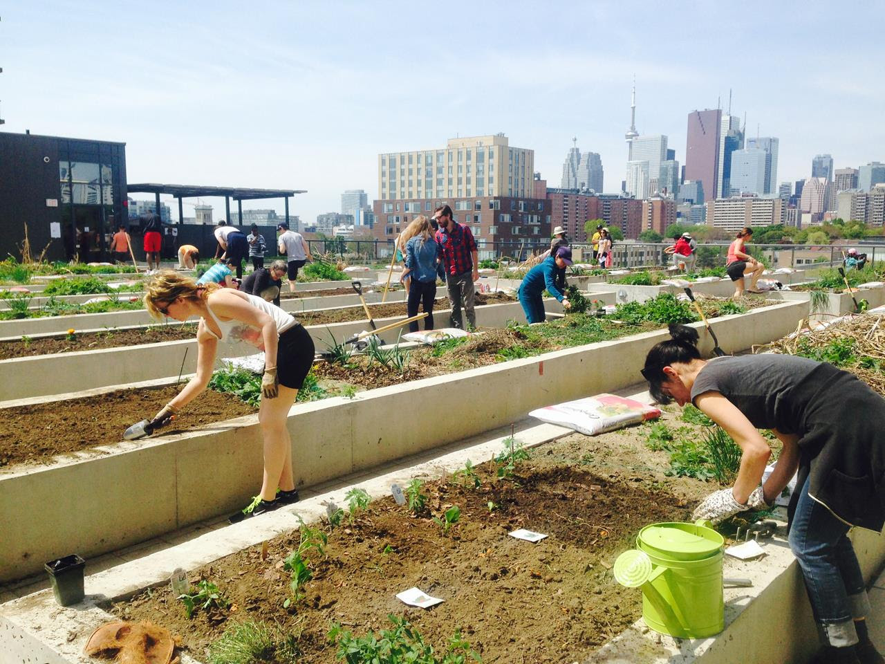 Curious About Urban Agriculture? Check out Urban Ag Week Sept 14-22!