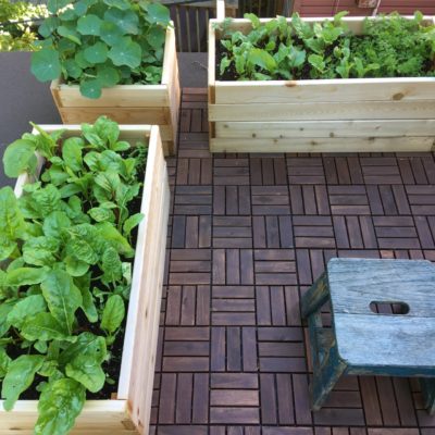 Container Garden Workshop, May 26th