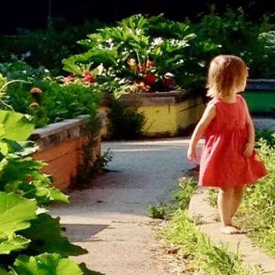 Gardening in Early Learning Environments: Grow, Harvest, Eat! June 9